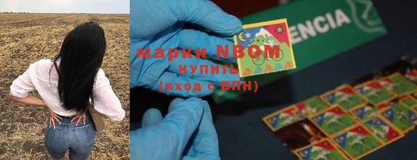 крисы Аркадак